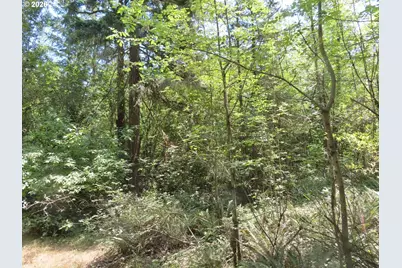 115 Campground Ln, Winlock, WA 98596 - Photo 19
