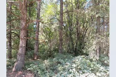 115 Campground Ln, Winlock, WA 98596 - Photo 3