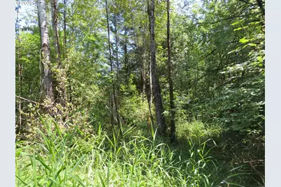 115 Campground Ln, Winlock, WA 98596 - Photo 9