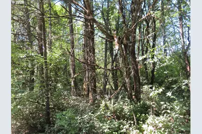 115 Campground Ln, Winlock, WA 98596 - Photo 11