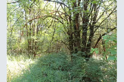 115 Campground Ln, Winlock, WA 98596 - Photo 21