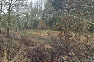 507 N 19th Ave, Cornelius, OR 97113 - Photo 33