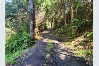 93490 Fir Rd, Port Orford, OR 97465 - Photo 33