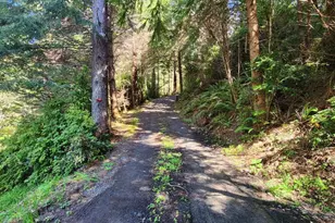 93490 Fir Rd, Port Orford, OR 97465 - Photo 33