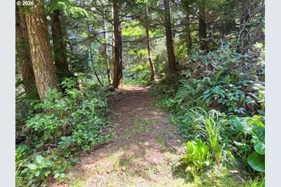 93490 Fir Rd, Port Orford, OR 97465 - Photo 35