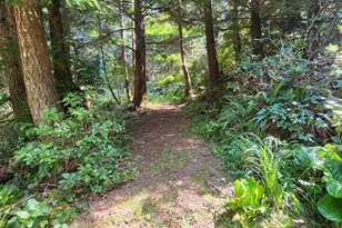 93490 Fir Rd, Port Orford, OR 97465 - Photo 35