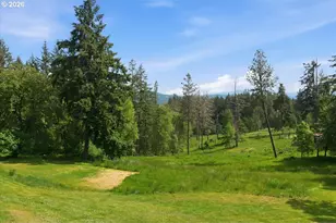 36909 Edgemont Dr, Lebanon, OR 97355 - Photo 41