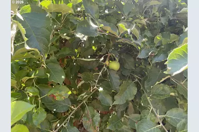 323 NW Pacific Hills Dr, Willamina, OR 97396 - Photo 23