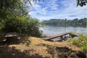 125 Village Rd, Mossyrock, WA 98564 - Photo 31