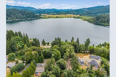 92705 Two Lakes Ln, Blachly, OR 97412 - Photo 37