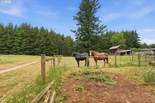 27287 S Hillockburn Rd, Estacada, OR 97023 - Photo 41