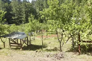 4580 Old House Creek Rd, Agness, OR 97406 - Photo 35