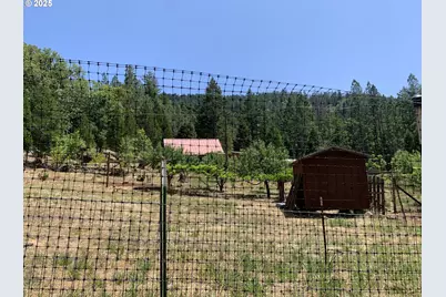 4580 Old House Creek Rd, Agness, OR 97406 - Photo 45