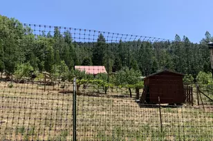 4580 Old House Creek Rd, Agness, OR 97406 - Photo 45