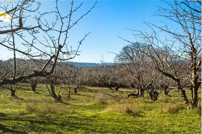 Dry Creek Rd, Mosier, OR 97040 - Photo 27