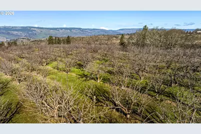 Dry Creek Rd, Mosier, OR 97040 - Photo 7