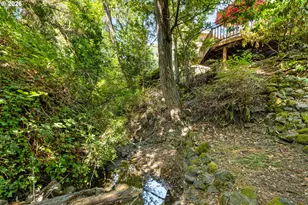 299 Wild Fern Dr, Winchester, OR 97495 - Photo 47
