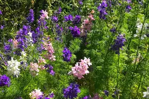 212 NW 5th Ave, John Day, OR 97845 - Photo 31