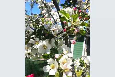 212 NW 5th Ave, John Day, OR 97845 - Photo 23