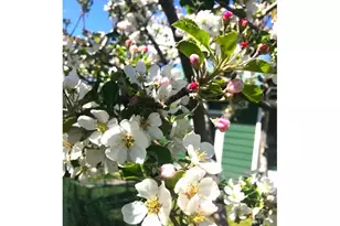 212 NW 5th Ave, John Day, OR 97845 - Photo 23