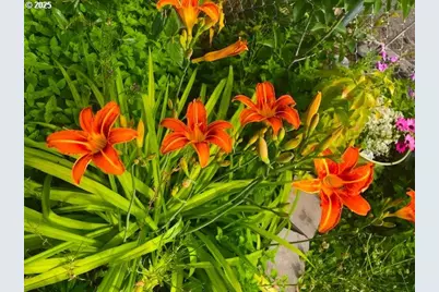 212 NW 5th Ave, John Day, OR 97845 - Photo 27