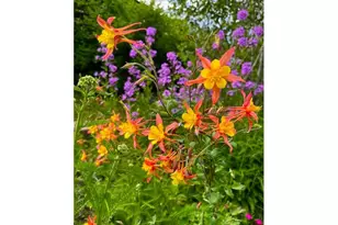 212 NW 5th Ave, John Day, OR 97845 - Photo 25