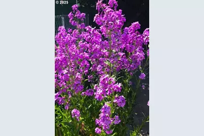 212 NW 5th Ave, John Day, OR 97845 - Photo 33