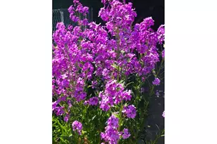 212 NW 5th Ave, John Day, OR 97845 - Photo 33