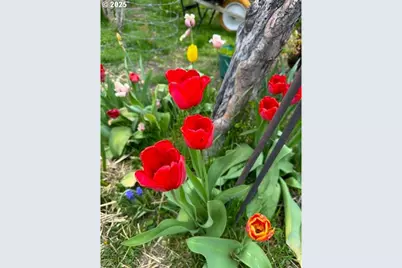 212 NW 5th Ave, John Day, OR 97845 - Photo 37