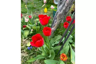 212 NW 5th Ave, John Day, OR 97845 - Photo 37