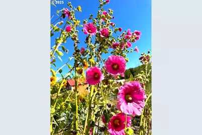 212 NW 5th Ave, John Day, OR 97845 - Photo 29