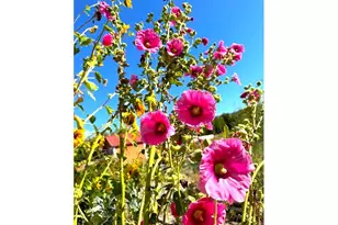 212 NW 5th Ave, John Day, OR 97845 - Photo 29