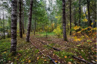 69437 E Vine Maple Dr, Mount Hood Village, OR 97049 - Photo 43