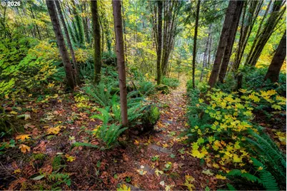 69437 E Vine Maple Dr, Mount Hood Village, OR 97049 - Photo 37