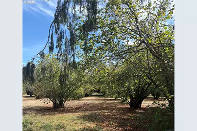 27645 Snyder Rd, Junction City, OR 97448 - Photo 13