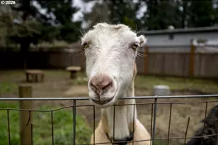 150 NE 202nd Ave, Gresham, OR 97230 - Photo 41