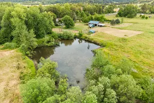 1177 Dairy Loop Rd, Roseburg, OR 97471 - Photo 45