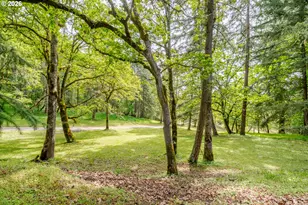 28011 Pine View Rd, Brownsville, OR 97327 - Photo 29