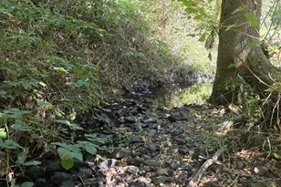 4295 SW Homesteader Rd, Wilsonville, OR 97070 - Photo 25