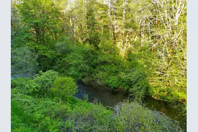 Upper North Fork Rd, Florence, OR 97439 - Photo 13
