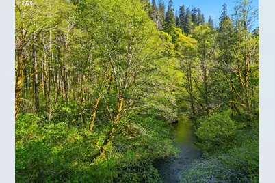 Upper North Fork Rd, Florence, OR 97439 - Photo 9