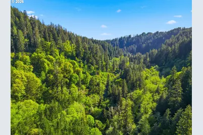 Upper North Fork Rd, Florence, OR 97439 - Photo 7