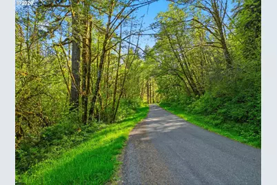 Upper North Fork Rd, Florence, OR 97439 - Photo 11