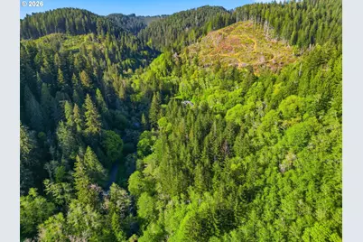 Upper North Fork Rd, Florence, OR 97439 - Photo 19
