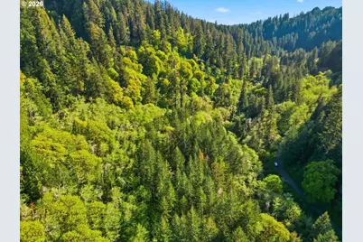 Upper North Fork Rd, Florence, OR 97439 - Photo 5