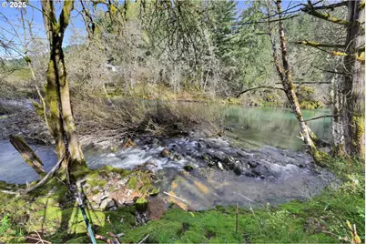 38431 Row River Rd, Dorena, OR 97434 - Photo 41