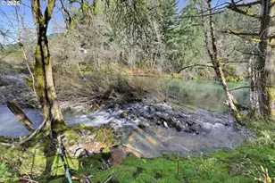 38431 Row River Rd, Dorena, OR 97434 - Photo 41