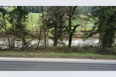 State Highway 38, Drain, OR 97435 - Photo 13