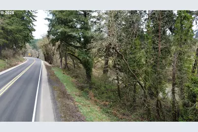 State Highway 38, Drain, OR 97435 - Photo 17