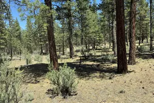 15651 Marcee Way, Chiloquin, OR 97624 - Photo 35